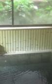 Туры в отель J-Hoppers Kumano Yunomine Guesthouse - Hostel Туры в отель J-Hoppers Kumano Yunomine Guesthouse - Hostel