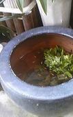 Туры в отель Tamaki Ryokan Туры в отель Tamaki Ryokan