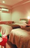 Туры в отель Okazaki New Grand Hotel Туры в отель Okazaki New Grand Hotel