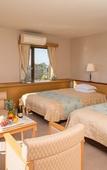 Туры в отель Okazaki New Grand Hotel Туры в отель Okazaki New Grand Hotel