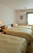 Туры в отель Okazaki New Grand Hotel Туры в отель Okazaki New Grand Hotel