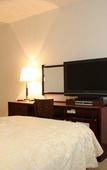 Туры в отель Okazaki New Grand Hotel Туры в отель Okazaki New Grand Hotel