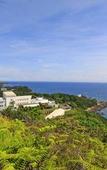 Туры в отель Hotel Bellevedere Туры в отель Hotel Bellevedere
