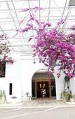 Туры в отель Hotel Bellevedere Туры в отель Hotel Bellevedere