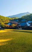 Туры в отель Miyama Sanso Туры в отель Miyama Sanso