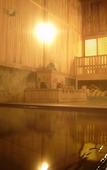 Туры в отель Tsuta Onsen Ryokan Туры в отель Tsuta Onsen Ryokan