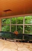 Туры в отель Tsukubasan Onsen Edoya Туры в отель Tsukubasan Onsen Edoya