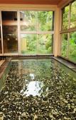 Туры в отель Tsukubasan Onsen Edoya Туры в отель Tsukubasan Onsen Edoya