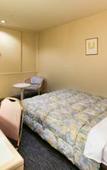 Туры в отель Tsubamesanjo Washington Hotel Туры в отель Tsubamesanjo Washington Hotel