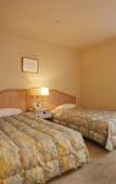 Туры в отель Tsubamesanjo Washington Hotel Туры в отель Tsubamesanjo Washington Hotel