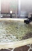 Туры в отель Nurukawa-Onsen Туры в отель Nurukawa-Onsen