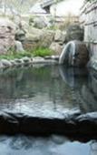 Туры в отель Nurukawa-Onsen Туры в отель Nurukawa-Onsen