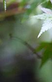 Туры в отель Suihouen Туры в отель Suihouen