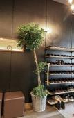 Туры в отель Trip & Sleep Hostel Туры в отель Trip & Sleep Hostel