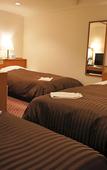 Туры в отель Mizue Dai-Ichi Hotel Туры в отель Mizue Dai-Ichi Hotel