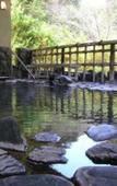 Туры в отель Tsunagi Onsen Shikitei Туры в отель Tsunagi Onsen Shikitei