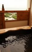 Туры в отель Hotel Tenzankaku Kaiyutei Туры в отель Hotel Tenzankaku Kaiyutei