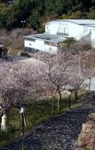 Туры в отель Hotel Tenzankaku Kaiyutei Туры в отель Hotel Tenzankaku Kaiyutei