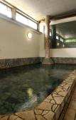 Туры в отель Hotel Tenzankaku Kaiyutei Туры в отель Hotel Tenzankaku Kaiyutei