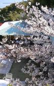 Туры в отель Higaki Hotel Туры в отель Higaki Hotel