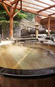 Туры в отель Akayu Onsen Gotenmori Туры в отель Akayu Onsen Gotenmori