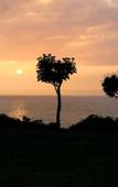 Туры в отель Hotel Grand Mer Sankaiso Туры в отель Hotel Grand Mer Sankaiso