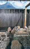 Туры в отель Yurari Rokumyo Туры в отель Yurari Rokumyo