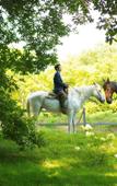Туры в отель Hoshino Resorts RISONARE Yatsugatake Туры в отель Hoshino Resorts RISONARE Yatsugatake