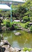 Туры в отель Ikaho Grand Hotel Туры в отель Ikaho Grand Hotel