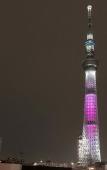 Туры в отель Hotel AMANEK asakusa azumabashi sky Туры в отель Hotel AMANEK asakusa azumabashi sky