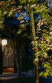 Туры в отель Yufuin Lamp no Yado Туры в отель Yufuin Lamp no Yado
