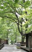 Туры в отель Shomarutoge Garden House Туры в отель Shomarutoge Garden House