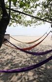 Туры в отель Morning star resort Туры в отель Morning star resort