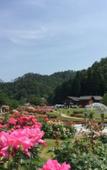 Туры в отель MURAYAMA Nishiguchi Hotel Туры в отель MURAYAMA Nishiguchi Hotel