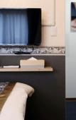 Туры в отель Shinjuku Global Hotel Туры в отель Shinjuku Global Hotel