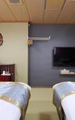 Туры в отель Shinjuku Global Hotel Туры в отель Shinjuku Global Hotel