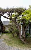 Туры в отель guesthouse KEY's Туры в отель guesthouse KEY's