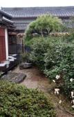 Туры в отель guesthouse KEY's Туры в отель guesthouse KEY's