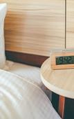 Туры в отель Kuretake Inn Premium Ogakiekimae Туры в отель Kuretake Inn Premium Ogakiekimae