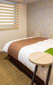 Туры в отель Kuretake Inn Premium Ogakiekimae Туры в отель Kuretake Inn Premium Ogakiekimae