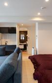 Туры в отель MK Hotels Nishinakasu Туры в отель MK Hotels Nishinakasu