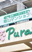 Туры в отель Purari Туры в отель Purari