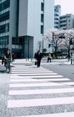 Туры в отель LOF HOTEL Shimbashi Туры в отель LOF HOTEL Shimbashi