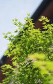 Туры в отель Beppu Rikyu Туры в отель Beppu Rikyu