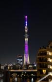 Туры в отель Minn Asakusa Туры в отель Minn Asakusa