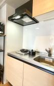 Туры в отель Ikoi Hotel Tokyo Туры в отель Ikoi Hotel Tokyo