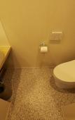 Туры в отель Ikoi Hotel Tokyo Туры в отель Ikoi Hotel Tokyo