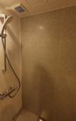 Туры в отель Ikoi Hotel Tokyo Туры в отель Ikoi Hotel Tokyo