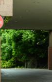 Туры в отель Tabist Katahara Resort Gamagori Туры в отель Tabist Katahara Resort Gamagori