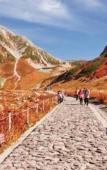Туры в отель Kurobe Sun Valley Hotel Туры в отель Kurobe Sun Valley Hotel
